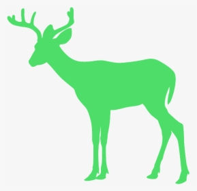 Transparent Moose Silhouette Clip Art - Deer Silhouette, HD Png Download, Free Download
