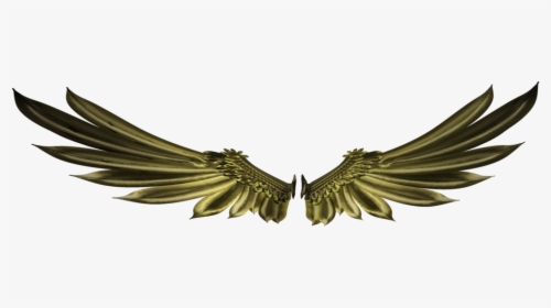 Thumb Image - Wings Logo 3d Png, Transparent Png, Free Download