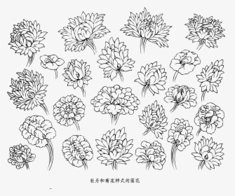 Tibet Flower Pattern Vector - 蓮花 白描, HD Png Download, Free Download