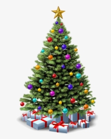 Christmas Tree With Presents Png, Transparent Png, Free Download