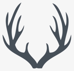 Deer Antler Png, Transparent Png, Free Download
