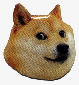 Doge Head Png - Doge Bread, Transparent Png - Kindpng