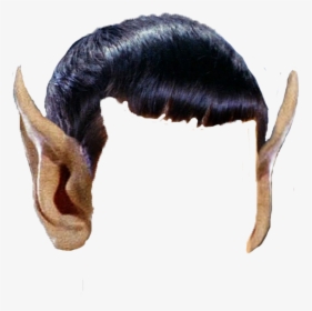 Trump Wig Png, Transparent Png, Free Download