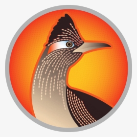 Birds Of Greater Roadrunner Geococcyx Californianus - Minnesota Timberwolves Alternate Logo, HD Png Download, Free Download