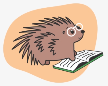 Porcupine-reading - New World Porcupine, HD Png Download, Free Download