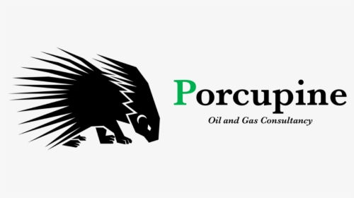 Porcupine Logo , Png Download - Graphic Design, Transparent Png, Free Download