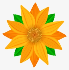 Transparent Flower Orange Background , Png Download - Clipart Flowers Png, Png Download, Free Download