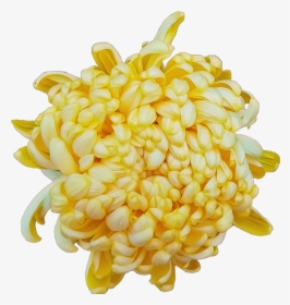 #flower #chrysanthemum #yellow - Artificial Flower, HD Png Download, Free Download