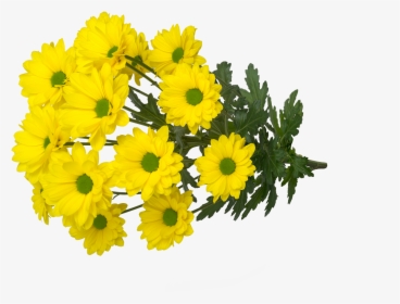 Yellow Strike2 - Bouquet, HD Png Download, Free Download