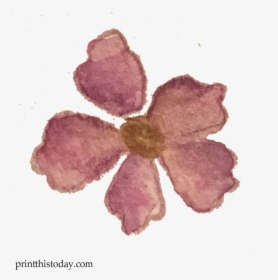 Free Watercolor Lilac Flower Clipart - Mayflower, HD Png Download, Free Download