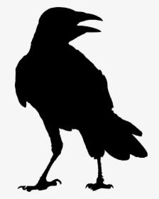 Svg Transparent Download Crow Clipart Raven Silhouette - Transparent Raven Silhouette, HD Png Download, Free Download