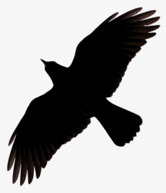 Flying Crow Raven Clip Art - Raven Flying Silhouette, HD Png Download, Free Download