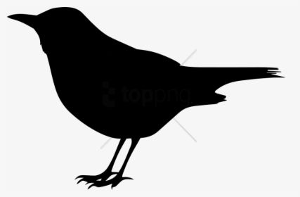 Black Bird Clip Art - Clipart Black Bird, HD Png Download, Free Download