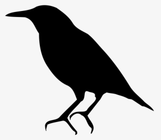Starling Png Background Image - European Starling Clip Art, Transparent Png, Free Download