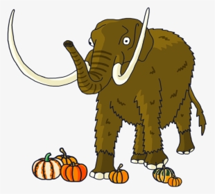 Indian Elephant, HD Png Download, Free Download