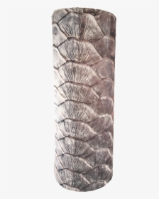 Tarpon Scales, HD Png Download - kindpng