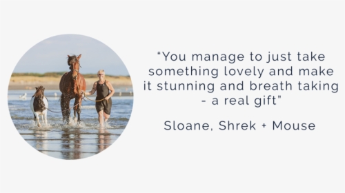Sloane Shrek - Stallion, HD Png Download, Free Download