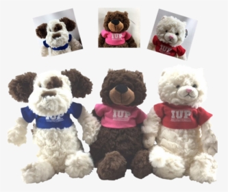 Stuffed Animal, Fuzzy Bunch With Iup T-shirt - Teddy Bear, HD Png Download, Free Download
