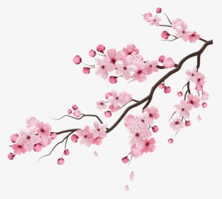 #cherry #cherryblossom #blossom #peachflower #peach - Transparent Cherry Blossom Vector, HD Png Download, Free Download