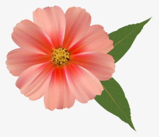Flowers Png Image Download, Transparent Png, Free Download