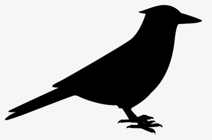 American Crow Fauna Common Raven Silhouette - Perching Bird, HD Png Download, Free Download
