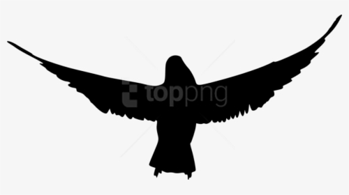 Bird Silhouette Png - Bird Silhouette Transparent Background, Png Download, Free Download