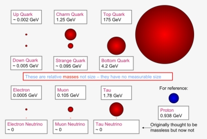 The Comparative Masses Of The Fundamental Particles - Size Of Quark Compared To Electron, HD Png Download, Free Download