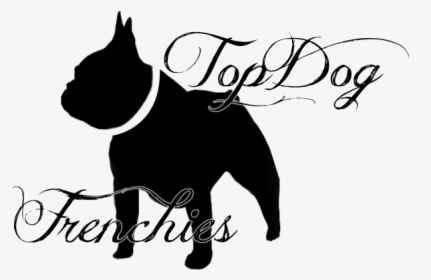 Topdog French Bulldogs Frenchies For Sale Puppies - Guard Dog, HD Png Download, Free Download
