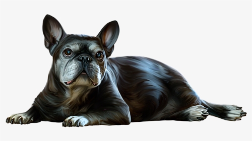 Clipart Puppy Frenchie - French Bulldog, HD Png Download, Free Download