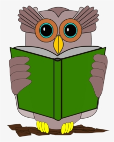 Owl,vertebrate,bird - Con Chim Đọc Sách, HD Png Download, Free Download
