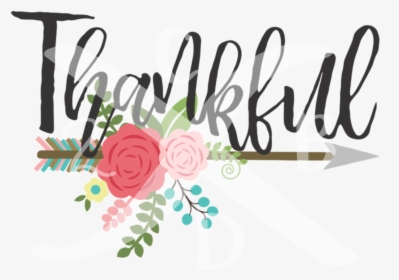 Thankful1 - Garden Roses, HD Png Download, Free Download