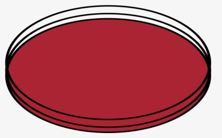 Circle, HD Png Download, Free Download