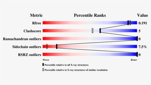 Parallel, HD Png Download, Free Download