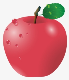 Vector Hand Drawn Fresh Organic Red Apple - Vector Graphics, HD Png Download, Free Download