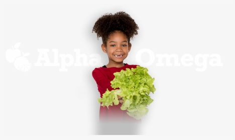 Broccoli, HD Png Download, Free Download