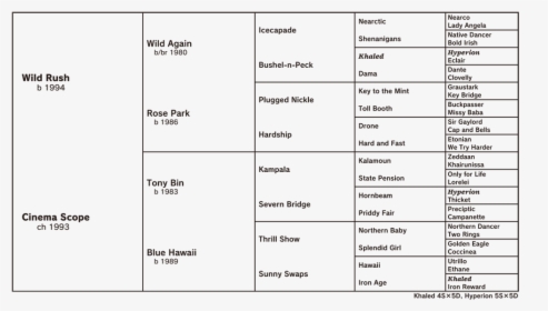 Document, HD Png Download, Free Download