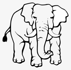 Clipart Elephant Head Bw - Big Elephant Black And White, HD Png Download, Free Download