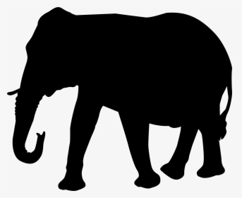 Elephant Head Png For Kids , Png Download, Transparent Png, Free Download