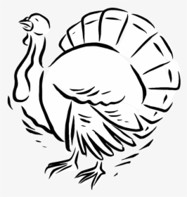 Turkey Coloring Page - Turkey, HD Png Download, Free Download