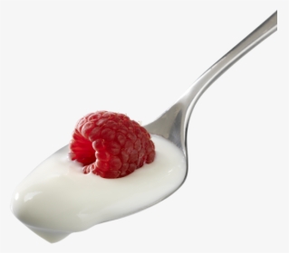 Contact Nancy"s Yogurt - Blancmange, HD Png Download, Free Download