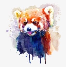 Bleed Area May Not Be Visible - Watercolor Animals Red Panda, HD Png Download, Free Download