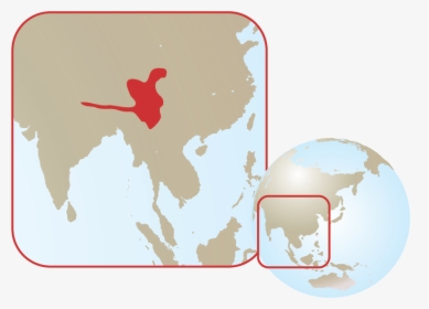 Asia Map Pink Png, Transparent Png, Free Download