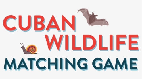 Cuban Wildlife Matching Game - Graphic Design, HD Png Download, Free Download