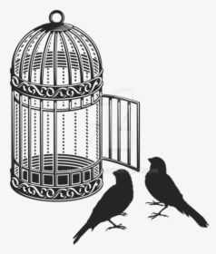 Cage Bird Png Image - Black And White Bird On Cage Clipart, Transparent Png, Free Download