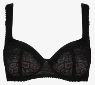 Rebel Push-up Bra Black - Transparent Background Bra Transparent - Free  Transparent PNG Download - PNGkey