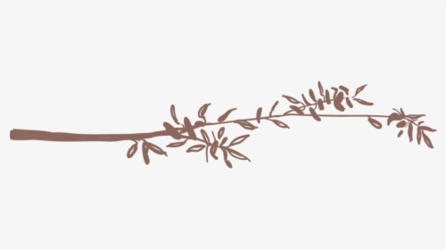 Twigs 2-02 - Calligraphy, HD Png Download, Free Download