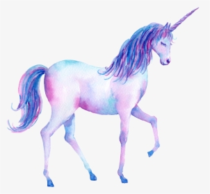 Unicorn Transparent Watercolor - Unicorn Walking On A Rainbow, HD Png Download, Free Download