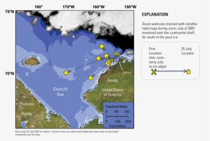 Map - Do Pacific Walrus Live, HD Png Download, Free Download