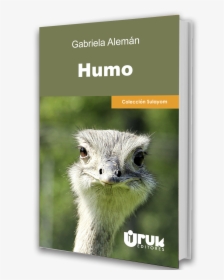 Common Ostrich , Png Download - Bird Portrait, Transparent Png, Free Download