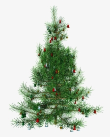 Png Format Images Of Christmas Tree - Gifs Animes Bisous Noel, Transparent Png, Free Download